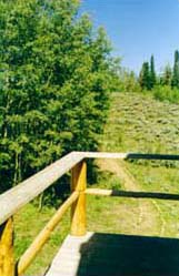 View from lodge balcony